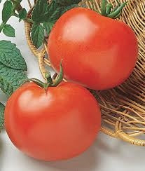 Rutgers Tomato Seeds - 1 packet