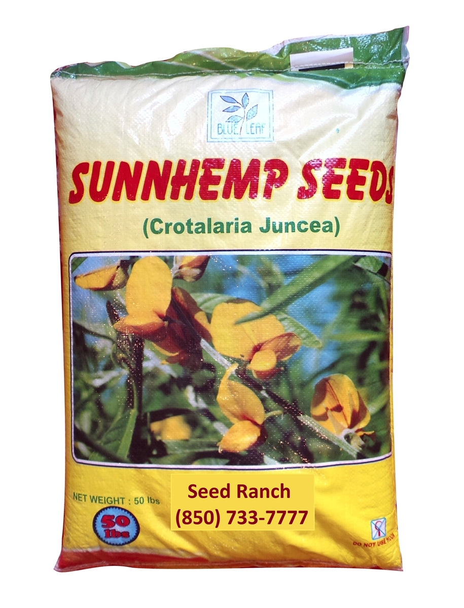 Sunn Hemp Seed - 1 Lb.
