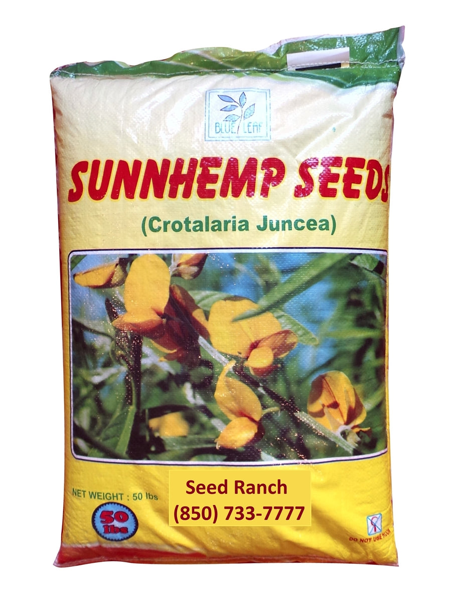 hemp flower seeds Sunn Hemp Seed