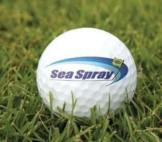 SeaShore Paspalum Grass Seed (Coated) - 10 Lbs.