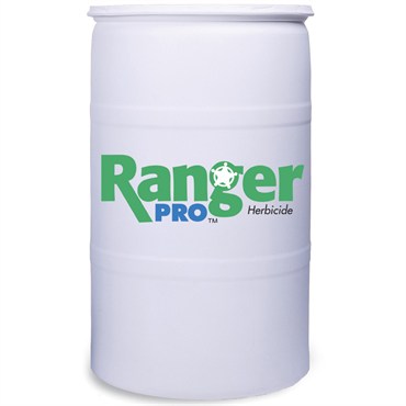 Roundup Ranger Pro 41% Glyphosate Herbicide - 30 Gallon Drum