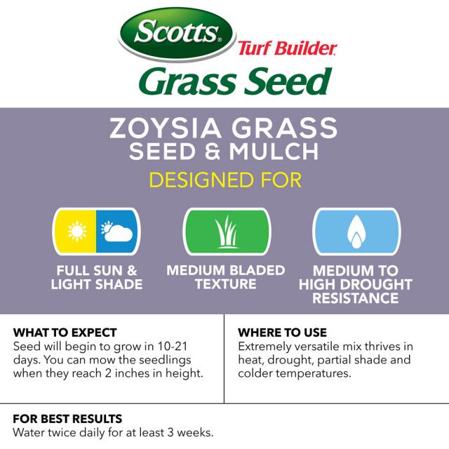 best temperature plant grass seed Scotts Zoysia Grass Seed