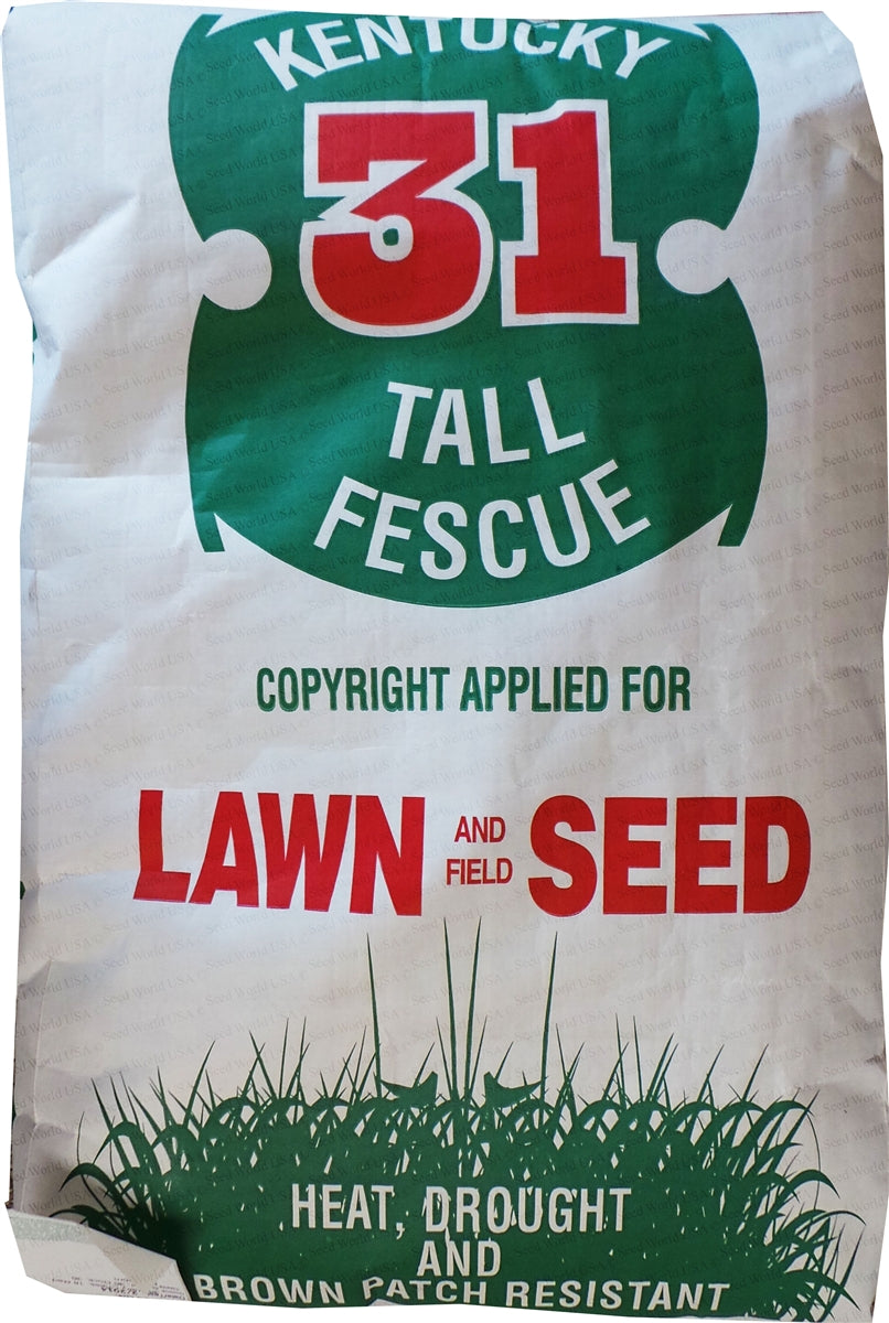 lowes grass seed cover SeedRanch Kentucky 31 Tall Fescue Grass Seed