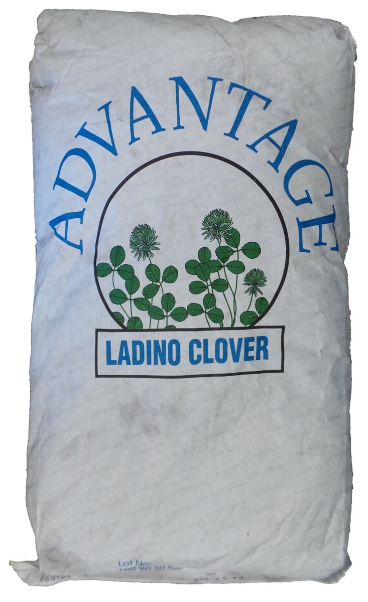 Advantage Ladino Clover Seed - 50 Lbs.