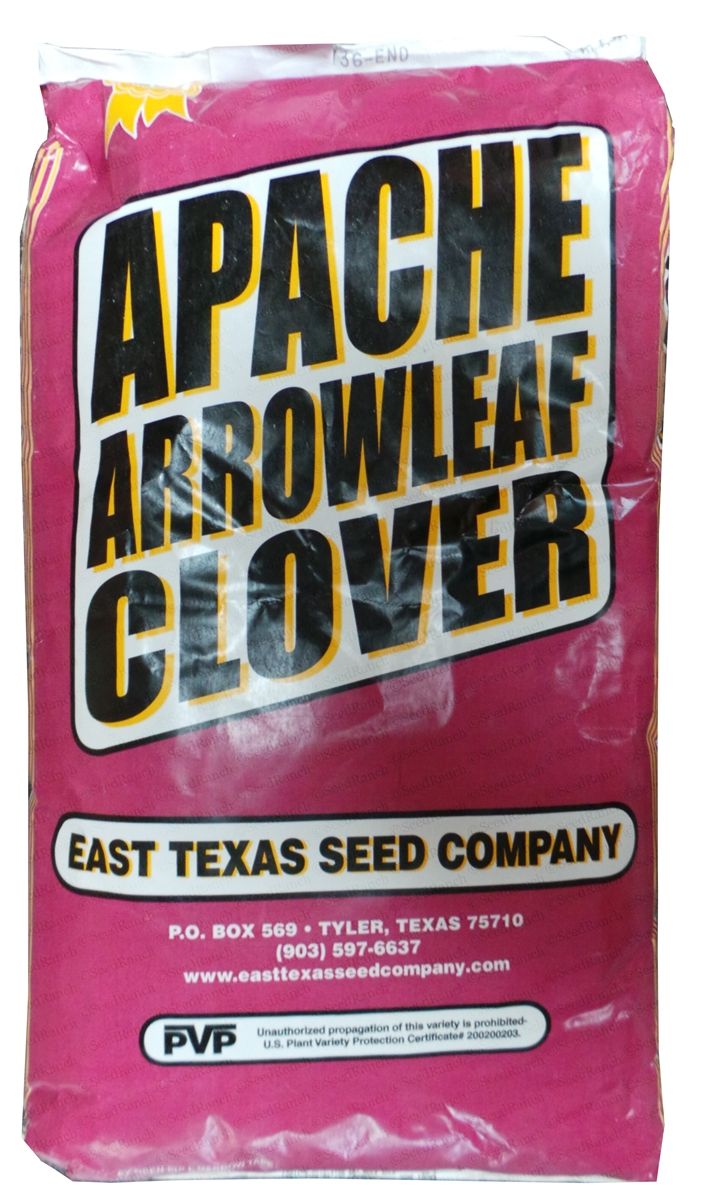 Apache Arrowleaf Clover Seed - 50 Lbs.