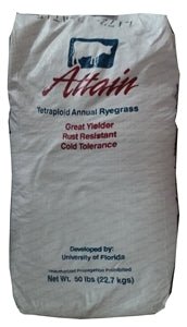 Attain Tetraploid Annual Ryegrass Seed - 10 Lbs. - Seed Barn