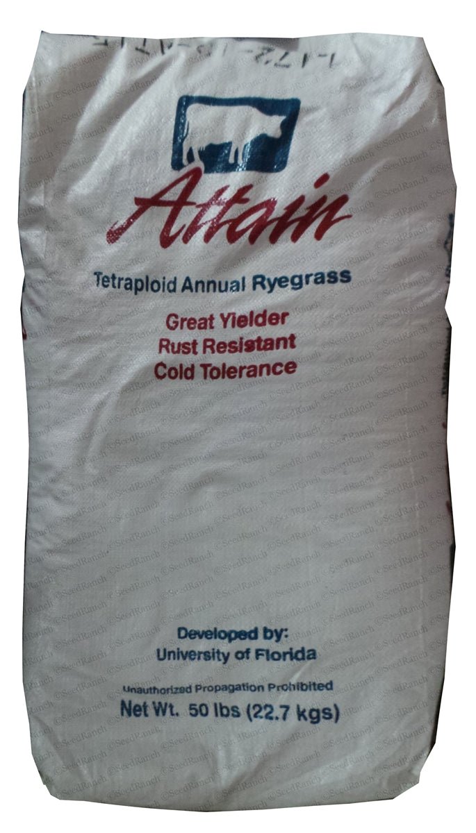 Attain Tetraploid Annual Ryegrass Seed - 50 Lbs. - Seed Barn