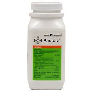 Bayer Pastora Herbicide - 5 oz - Seed Barn