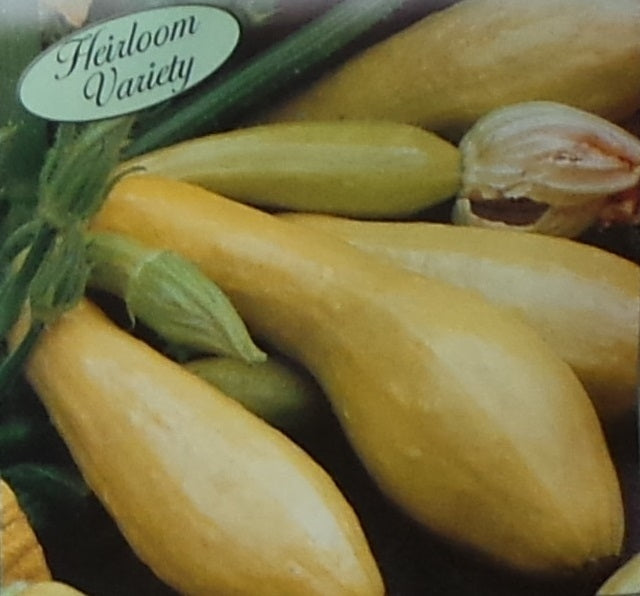 Squash Early Straightneck Seed Heirloom - 1 Packet