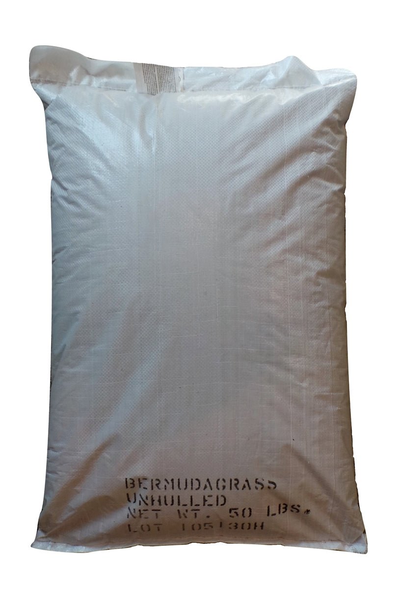 Bermuda Grass Seed Common Raw Unhulled - 50 Lbs. - Seed Barn