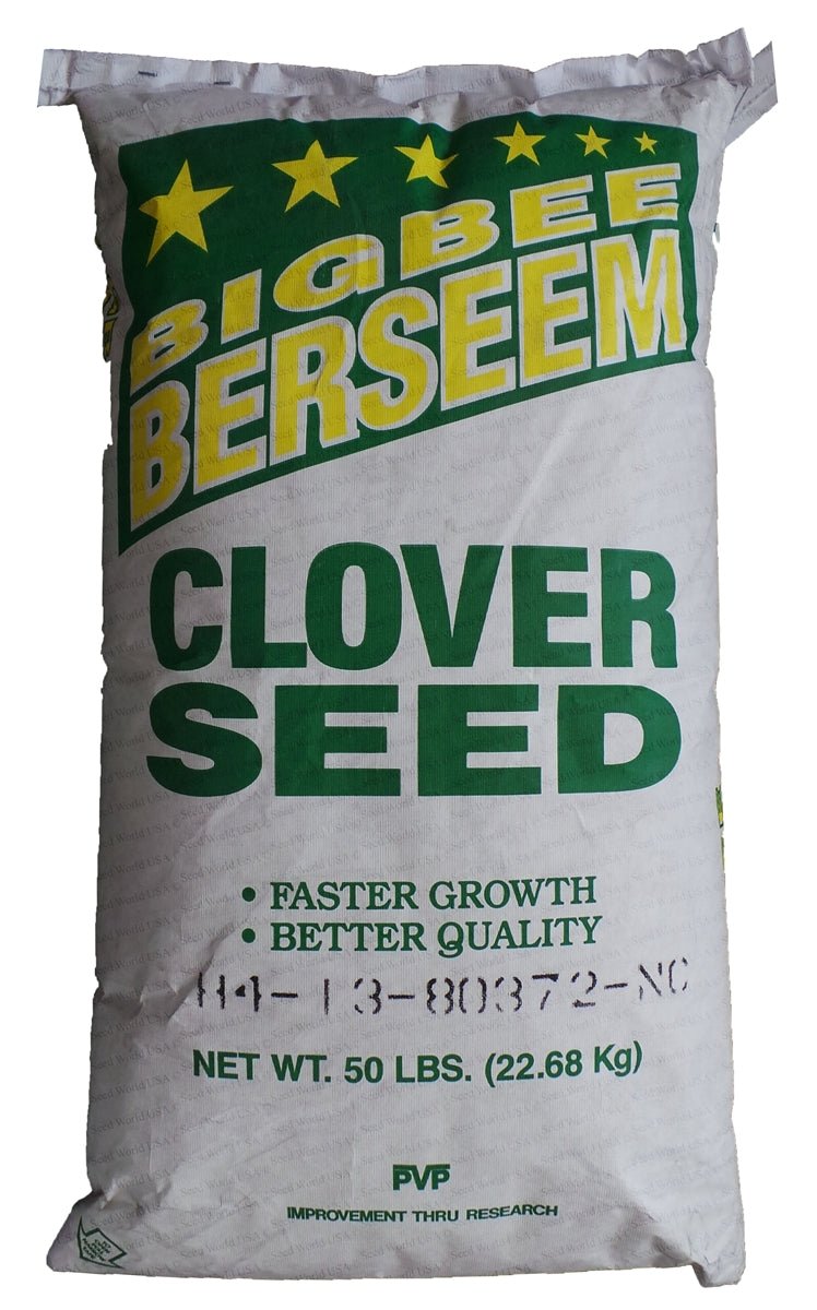 Big Bee Berseem Clover Seed - 50 Lbs. - Seed Barn