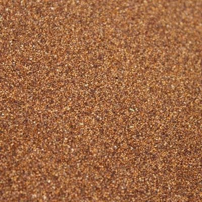 Bonus Teff Grass Seed - 1 Lb. - Seed Barn