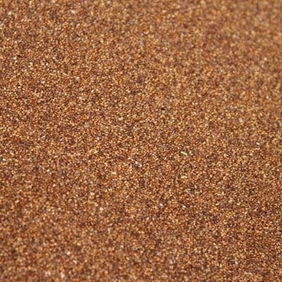 Bonus Teff Grass Seed - 10 Lbs. - Seed Barn