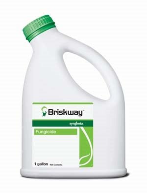 Briskway Fungicide - 1 Gallon - Seed Barn