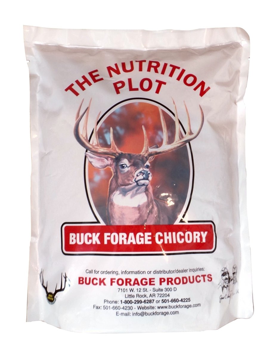 Buck Forage Chicory Seed - 4 Lbs. - Seed Barn