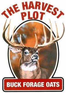 Buck Forage Oats Food Plot Seeds - 20 Lbs. - Seed Barn