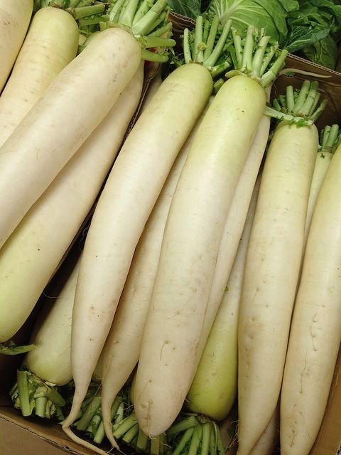 SeedRanch Daikon Radish Seed - 20 Lbs.