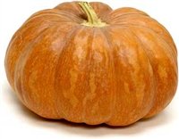 Calabaza Pumpkin Seeds - 1 packet - Seed Barn