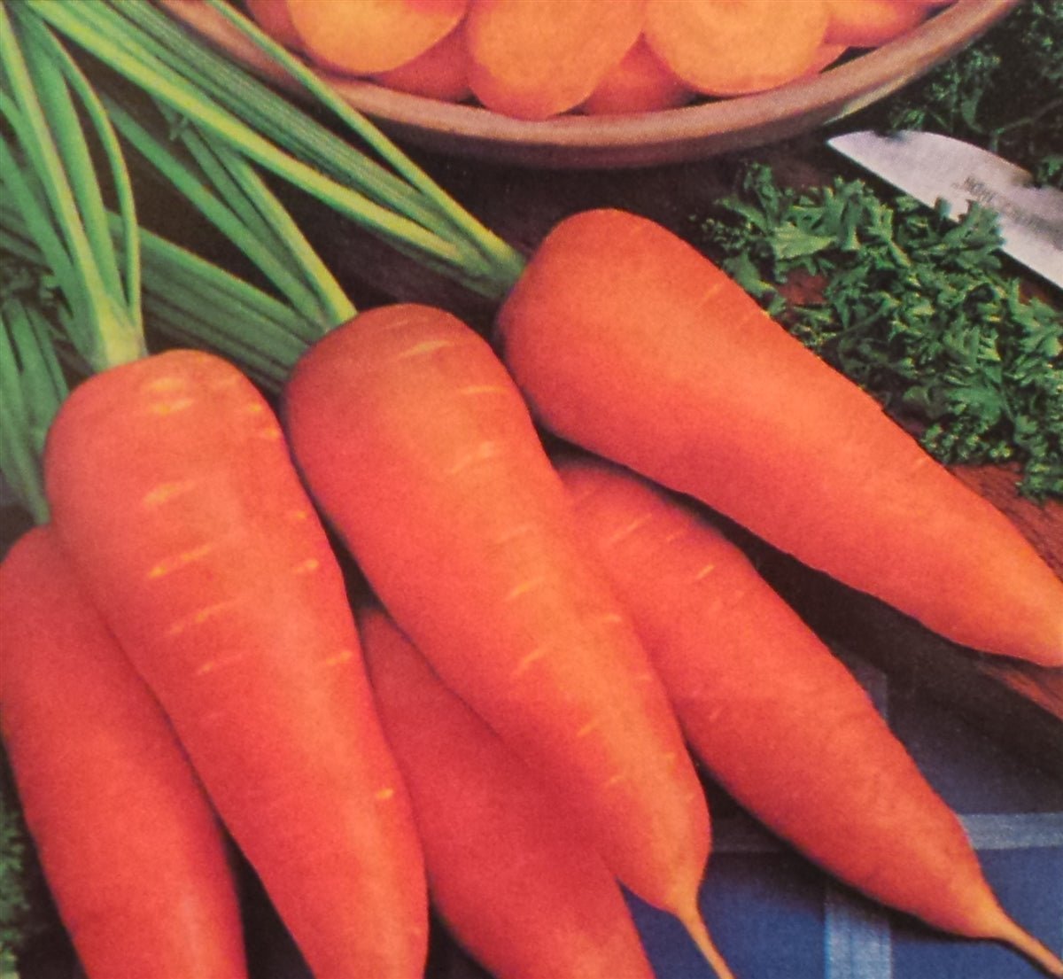 Carrot Danvers Half Long Seed - 1 Packet - Seed Barn