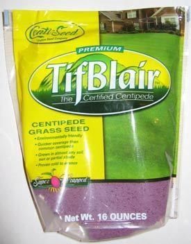 Centipede Grass Seed Tifblair (Certified) - 1 Lb. - Seed Barn