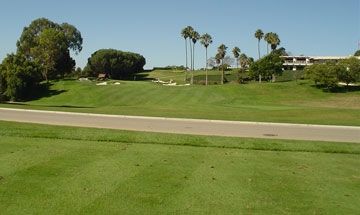 Champion GQ Perennial Ryegrass - 5 Lbs. - Seed Barn