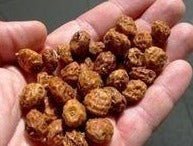 Chufa Seed - 10 Lbs. - Seed Barn