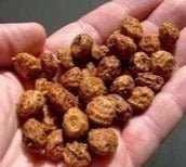 Chufa Seed - 25 Lbs. - Seed Barn