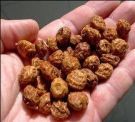 Chufa Seed - 50 Lbs. - Seed Barn