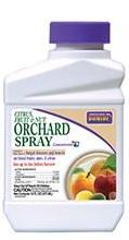 Citrus, Fruit, and Nut Orchard Spray Insecticide Concentate - 1 pint - Seed Barn