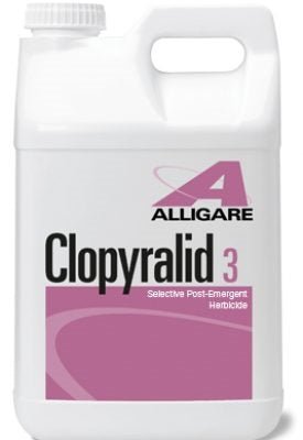 Clopyralid 3 Herbicide - 1 Gallon - Seed Barn