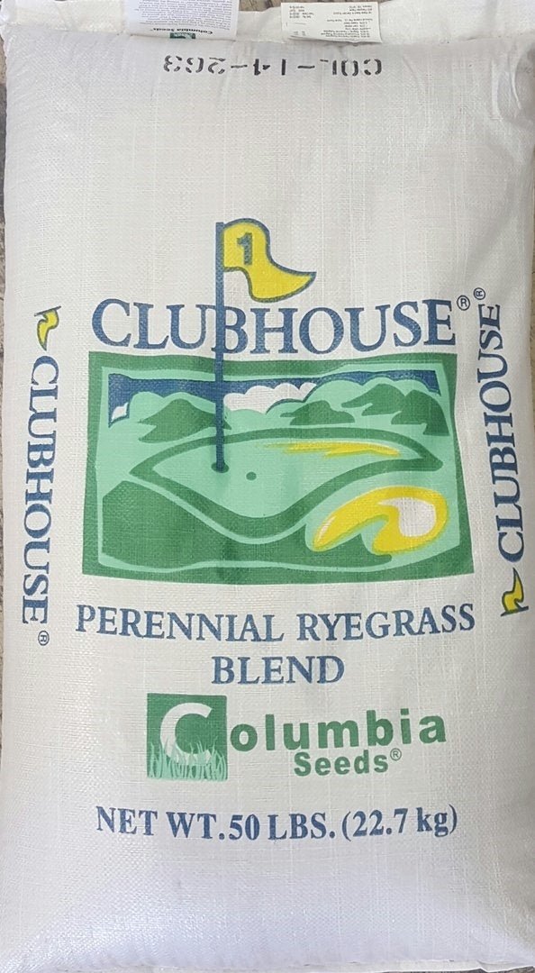 Clubhouse GQ Perennial Ryegrass Seed - 25 Lbs. - Seed Barn