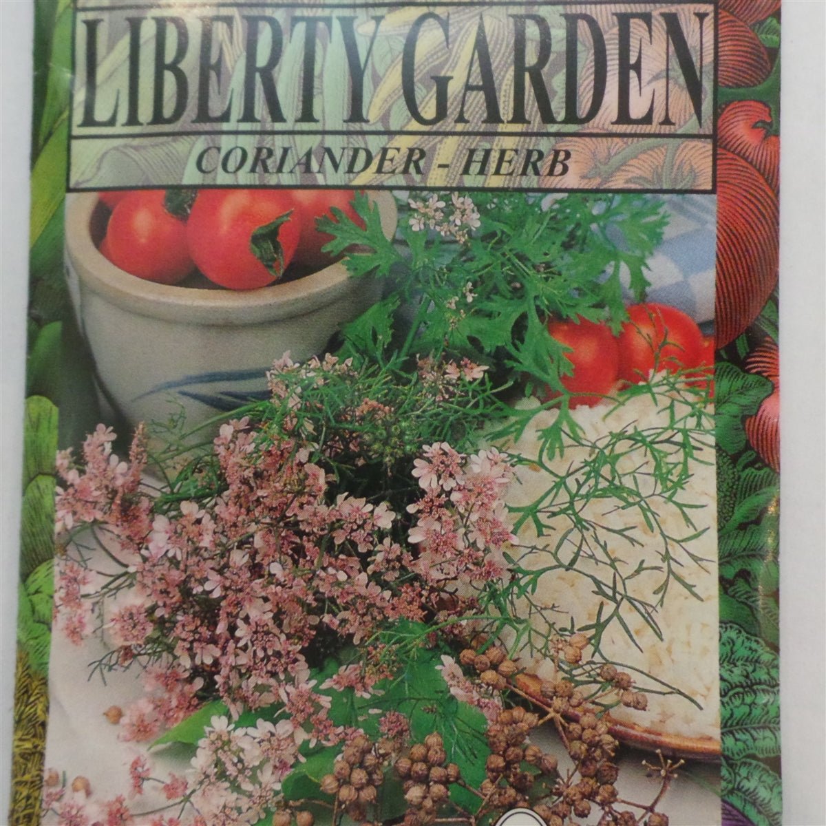 Coriander Annual Herb Seed - 1 Packet - Seed Barn