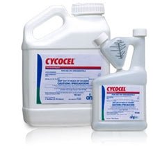Cycocel Plant Growth Regulator - 1 Gallon - Seed Barn