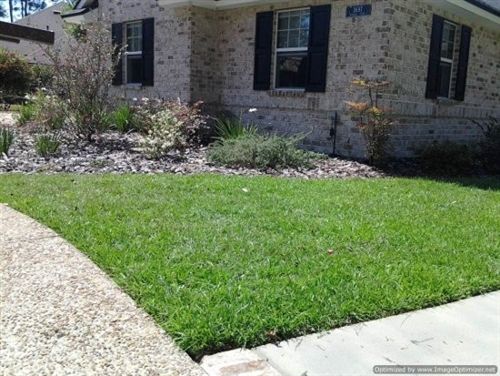 SeedRanch Centipede Grass Seed (Raw)  - 10 Lbs.