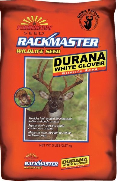 Durana White Clover Food Plot Seed - 5 Lbs - Seed Barn