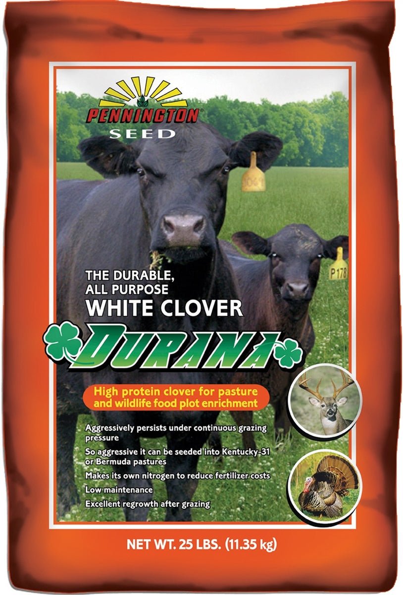 Durana White Clover Seed - 25 Lbs. - Seed Barn