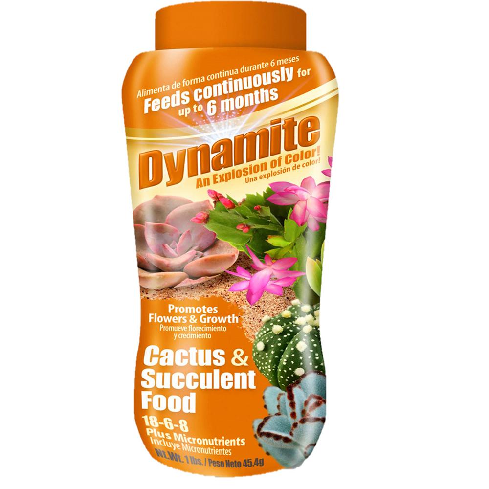 dynamite cactus & succulent food Dynamite Cactus & Succulent Food 18-6-8