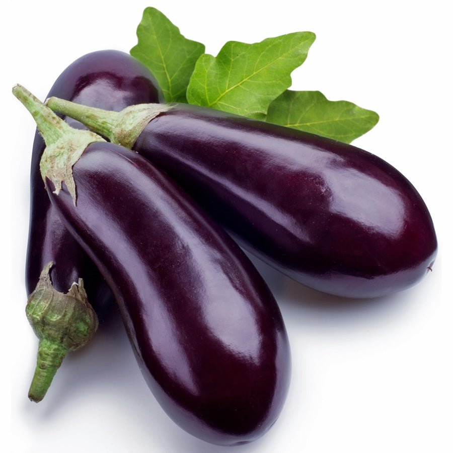 Eggplant Florida Market Seed Heirloom - 1 Packet - Seed Barn