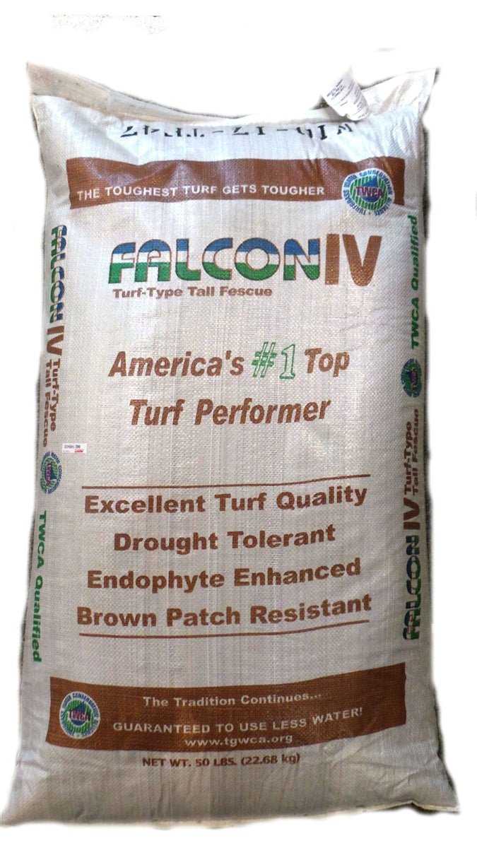 Falcon IV Turf Type Tall Fescue Grass Seeds - 1 lbs. - Seed Barn