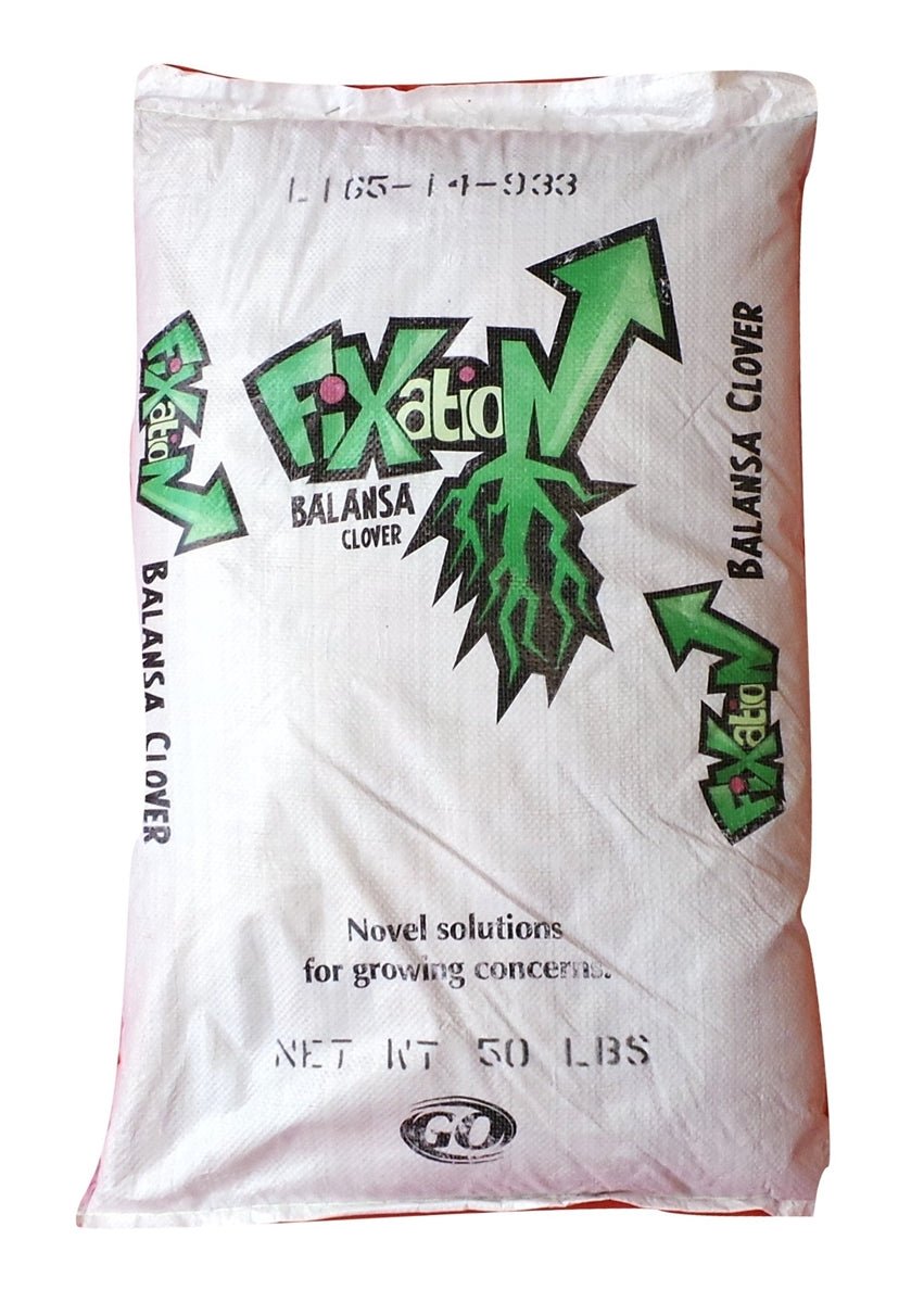 Fixation Balansa Clover Seed - 50 Lbs. - Seed Barn