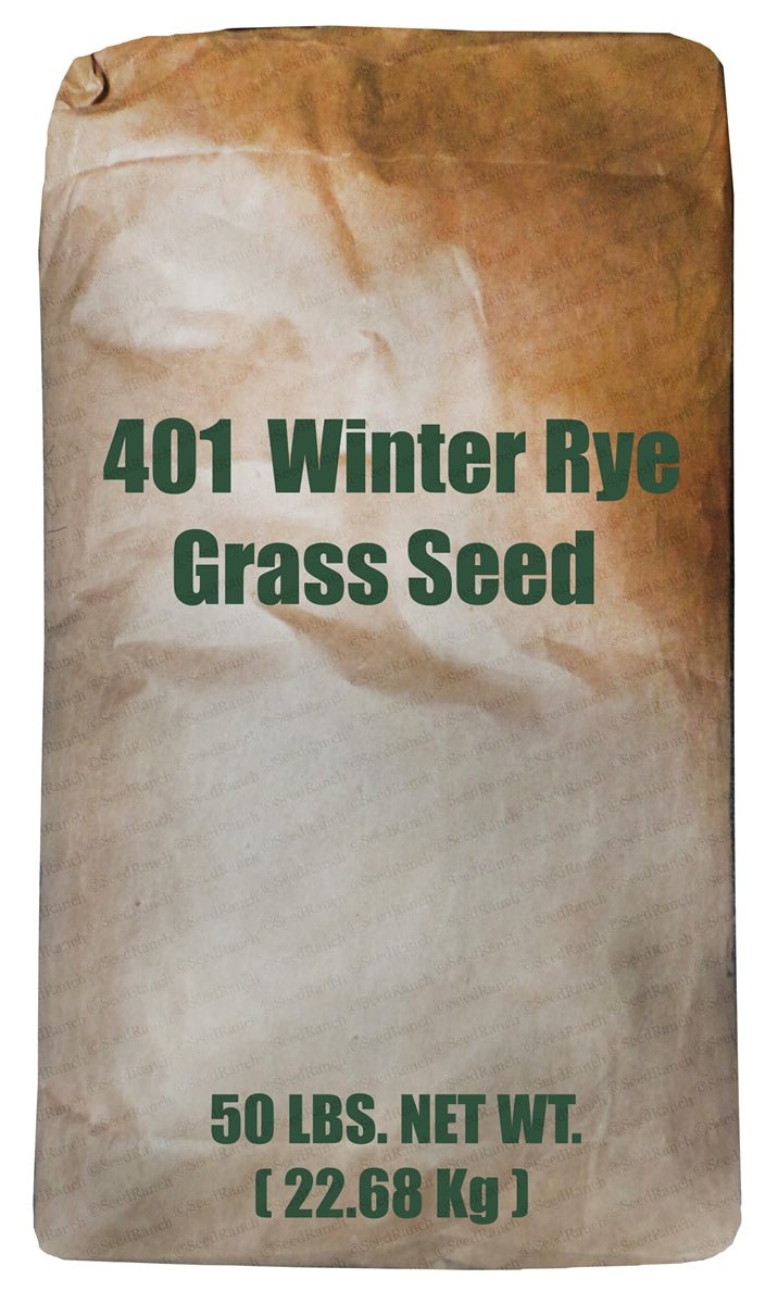 FL 401 Winter Rye Grain Seed - 50 Lbs. - Seed Barn