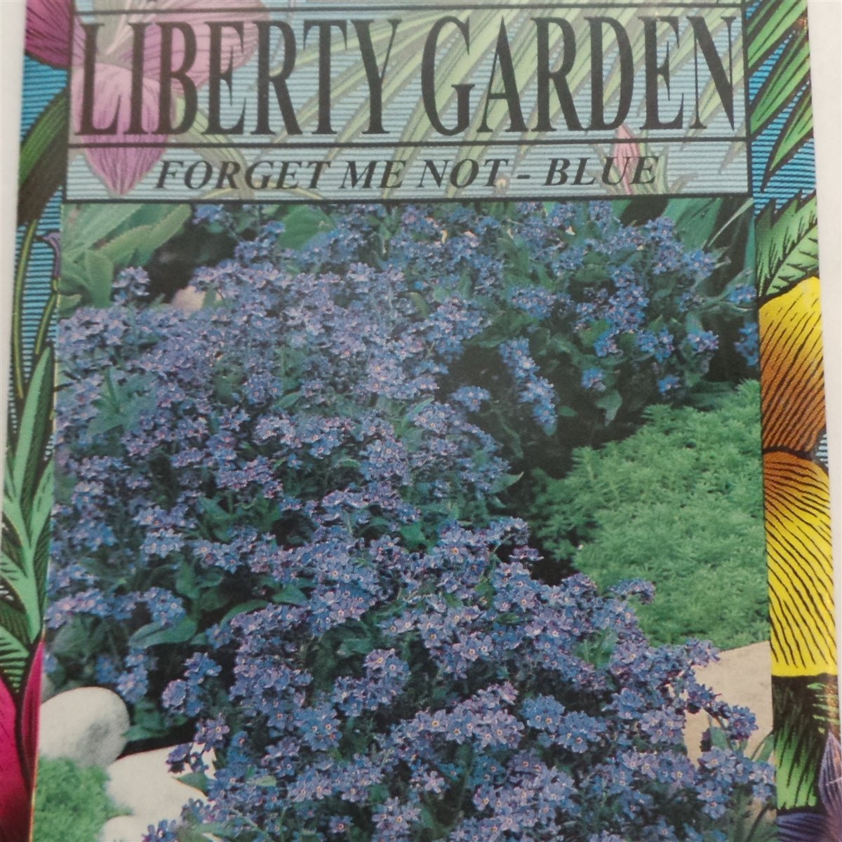 Forget Me Not - Blue - 1 Packet - Seed Barn