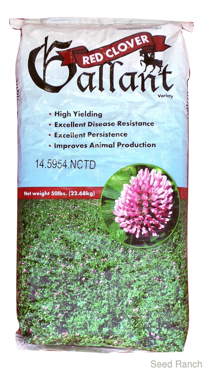 Gallant Red Clover Seed - 50 Lbs. - Seed Barn