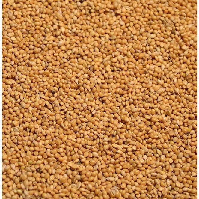 Golden German Millet - 50lbs. - Seed Barn