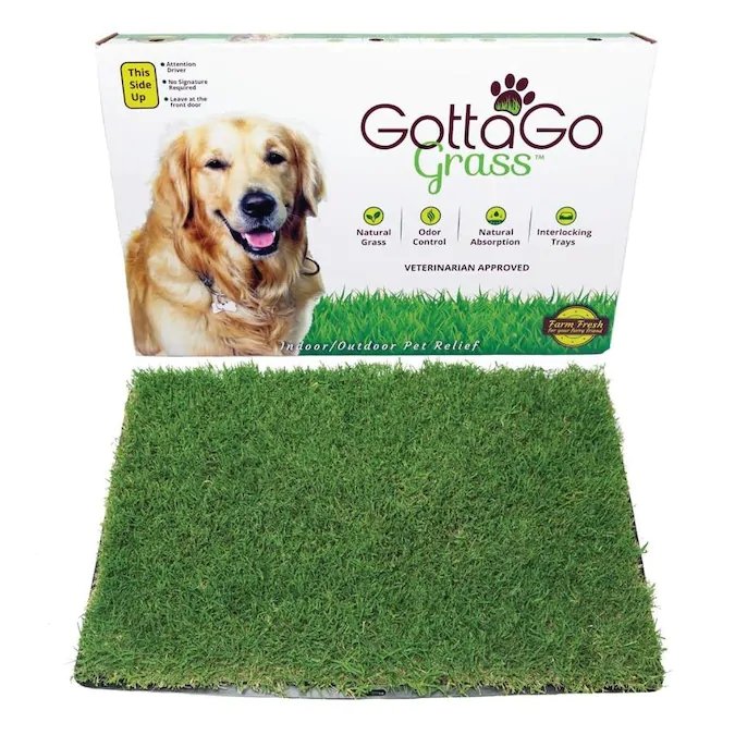 Gotta Go Grass - 2 Pack - Seed Barn