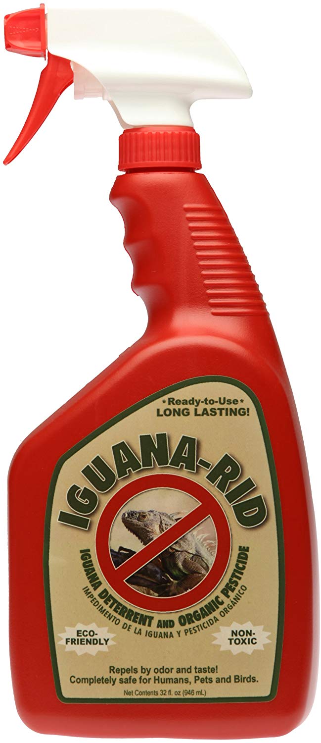 Iguana Rid RTU Spray Bottle - 1 Quart - Seed Barn