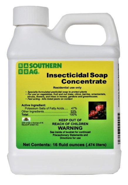 Insecticidal Soap Concentrate - 1 Pint - Seed Barn