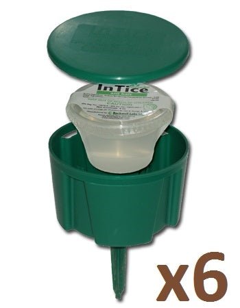 InTice Gelanimo Ant Bait Gel Cups and Stations - 6 each - Seed Barn