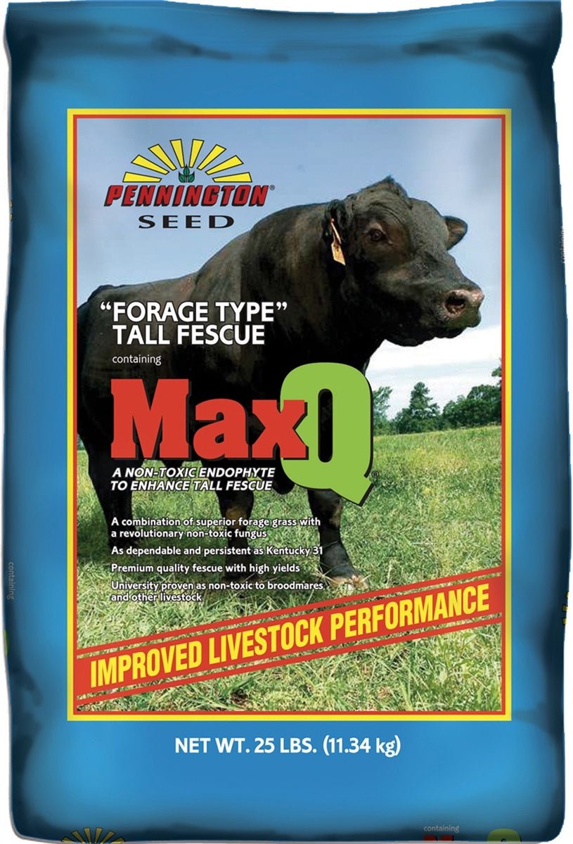 Jesup MaxQ Tall Fescue Grass Seed - 25 Lbs. - Seed Barn