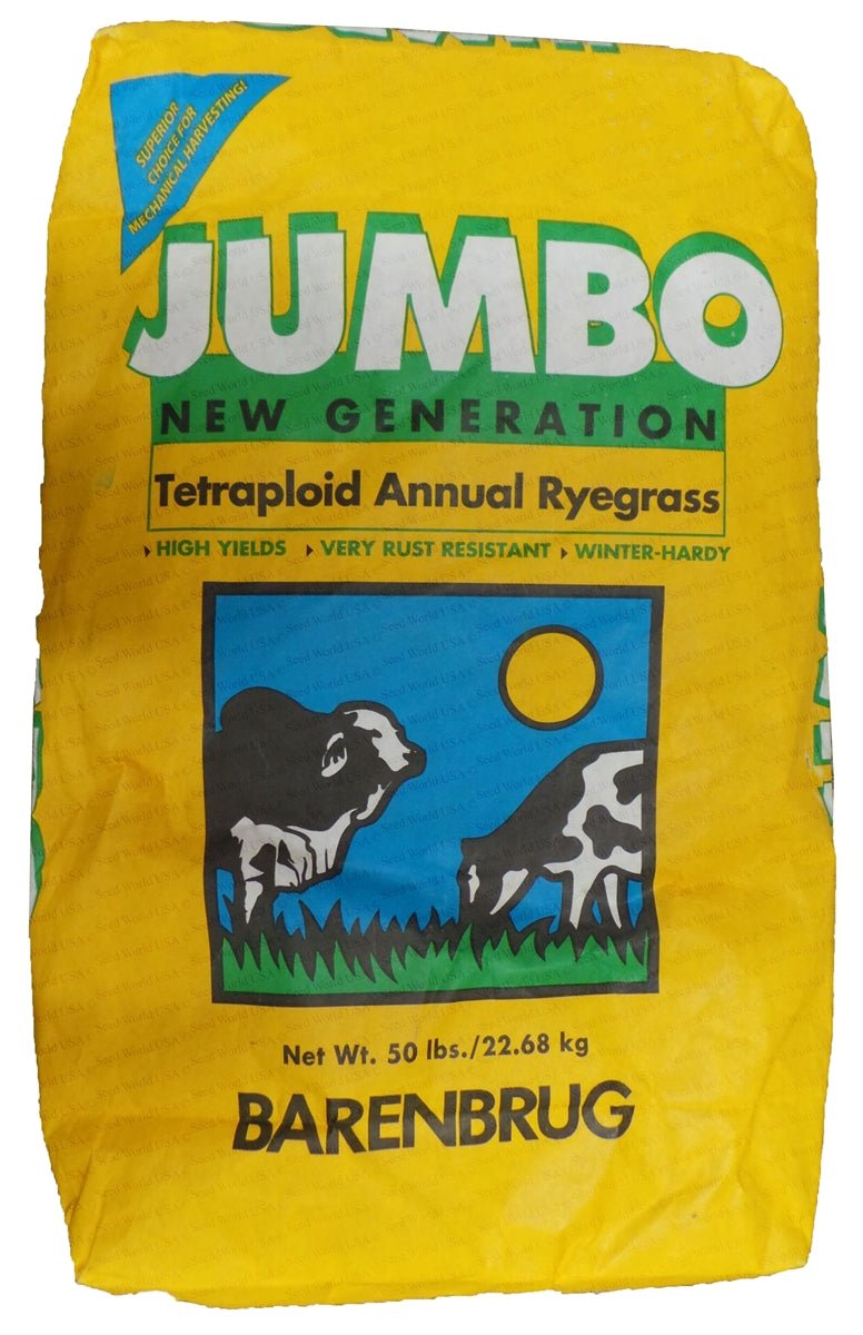 Jumbo Tetraploid Annual Ryegrass - 50 Lbs. - Seed Barn